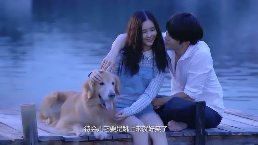 寻找火鸡